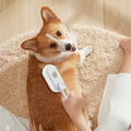 3-in-1 Steam Pet Grooming Brush | Electric Spray Massage Comb for Cats & Dogs